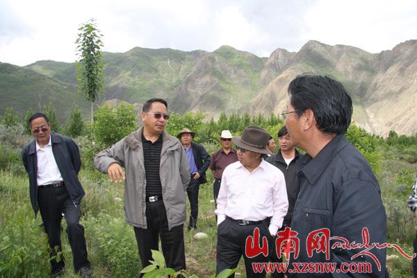 坚参在山南地区调研“三农”工作