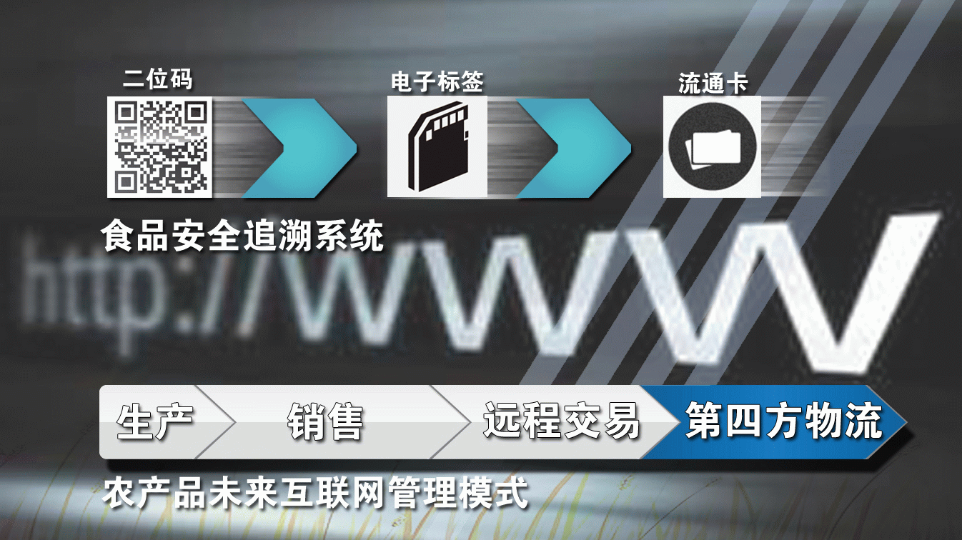 陈宇洲/制图