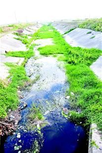 湖北日报讯