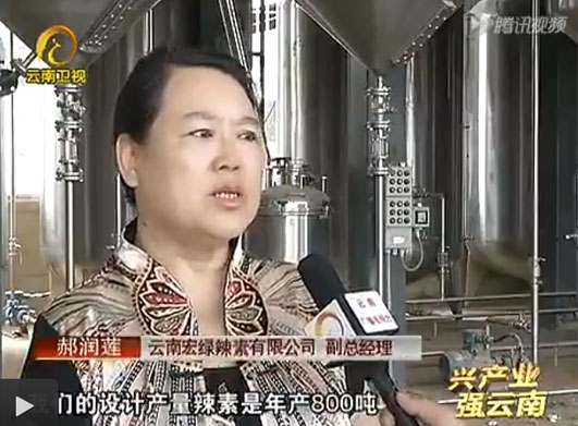 云南宏绿辣素有限公司副总经理郝润莲女士接受采访