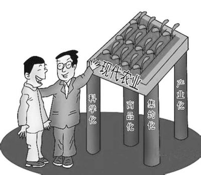 省委、省政府颁发的《关于加快推进现代农业发展的若干意见》提出推进农民合作社规范化建设,为我省加快农民专业合作社建设,将其打造成为我省现代农业发展的主力军指明了方向。