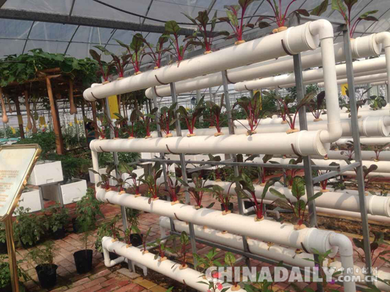 安福县:力争走在全省农业发展最前列