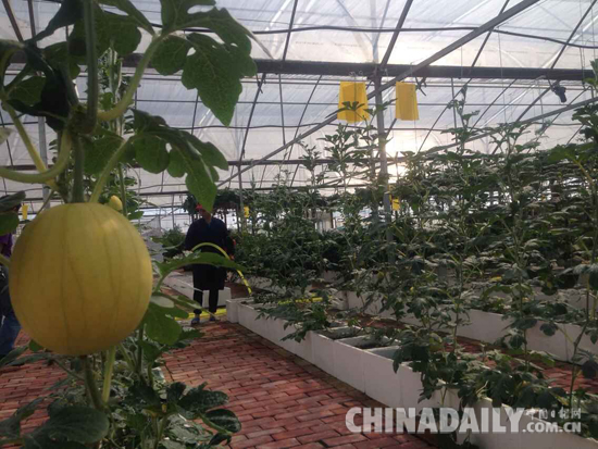 安福县:力争走在全省农业发展最前列