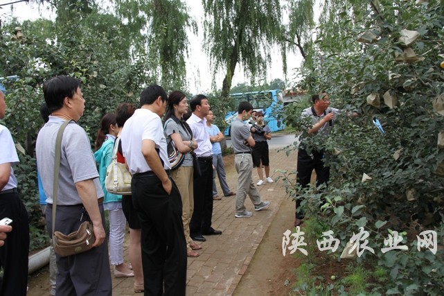 与会人员观摩绿色防控技术示范区