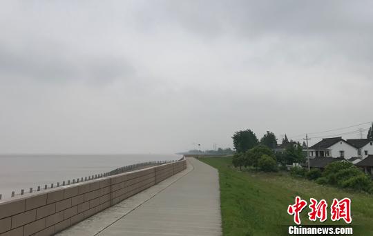 位于钱塘江堤边的新仓村梁家墩片区。 张斌 摄 位于钱塘江堤边的新仓村梁家墩片区。 张斌 摄
