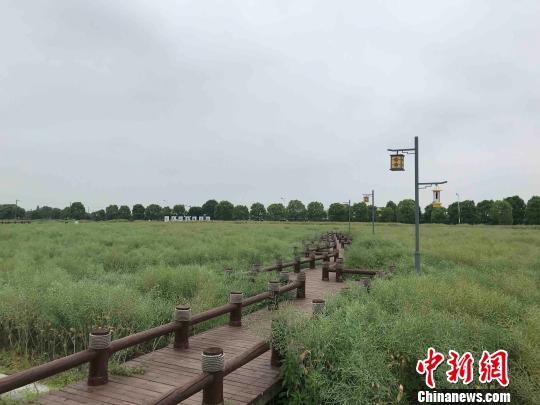 浙江最早省道旁“粮仓”村:造农旅发展“碰头潮”