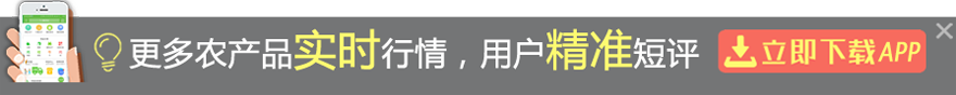 г顢۸APP鿴