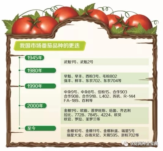 640.webp (5)