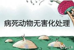 ũҵũ岿֪ͨҪ ǿ޺ ٽҵɫչ