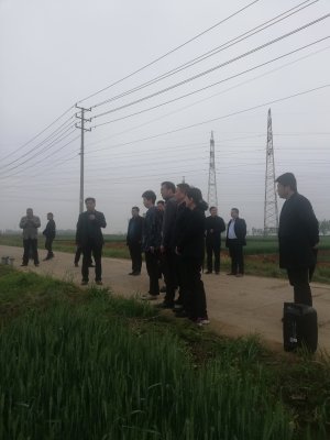 2021гɹСùȷʳ