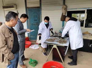 市农业农村部门持续强化地产水产品质量安全督查