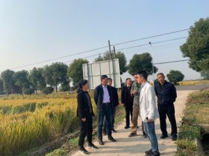 省水稻绿色高质高效创建互查组来我市交叉检查