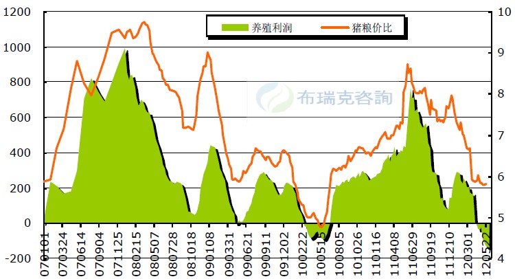 数据来源:布瑞克咨询